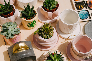 Succulents in gypsum pots. Sale of plants and pots. Flower pots of different shapes, designs, sizes and colors.