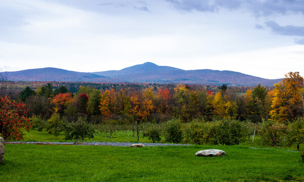 รูปภาพEupenMalmedy เลือกดูภาพถ่ายสต็อก เวกเตอร์ และวิดีโอ582 Adobe