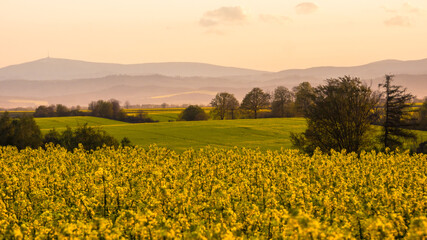sunset over the field and mountains