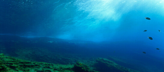 Fototapeta na wymiar underwater view of the world