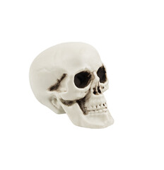 Artificial decorative skull for the Halloween decoration isolated
