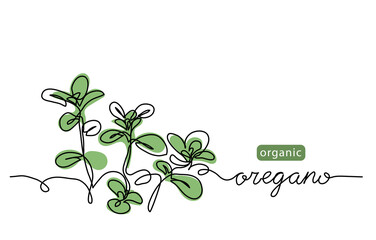 Oregano leaves simple vector sketch drawing. One continuous line art illustration for label design of herbs with lettering oregano