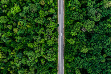 white car on the highway. alone car driving on asphalt road through a green forest. Drone top view seen from the air. Aerial view landscape. drone photography. .
