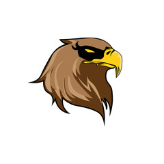 flat illustration of an eagle, t-shirt, and logo used for print