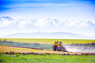 Fototapeta premium Harvesting, the harvester machine is harvesting, plowing the land. Industrial farming and farming. Preparation for sowing seeds. Tractor at work on the field.