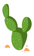Cactus icon. Cartoon succulent. Desert plant vector illustration.