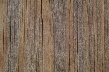 Horizontal full-color photo. Rough woody texture on the cut. Traces of time are visible.
