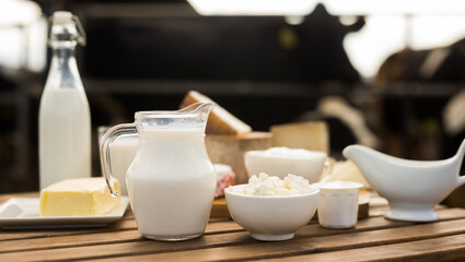 Fototapeta na wymiar jug of milk, bottle of kefir, cottage cheese, cream and yogurt in bowl, cheese, butter on table in cowshed