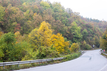 Beautiful autumn forest, full of colors - yellow, red, brown, green. An asphalt road passes by the forest.