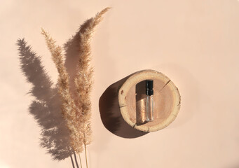 Glass perfume sample with transparent liquid on a wooden tray lying on a beige background with pampas grass. Luxury and natural cosmetics presentation. Tester on a woodcut in the sunlight. Top view