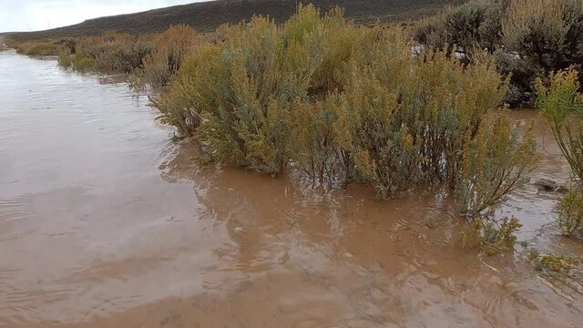 Muddy flood water from heavy rainstorm in Wyoming flowing through the sagebrush.