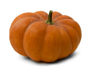 Ripe orange pumpkin on white background. Growing pumpkin. Pumpkin is an autumn food.