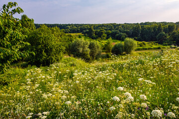 Panoramic view of Las Kabacki Forest reserve seen from Gorka Kazurka hill in Kabaty district of Warsaw in central Poland