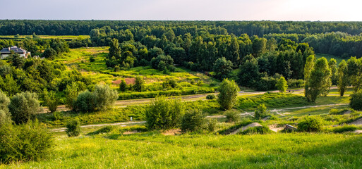 Panoramic view of Las Kabacki Forest reserve seen from Gorka Kazurka hill in Kabaty district of Warsaw in central Poland - obrazy, fototapety, plakaty