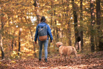 Woman and her dog walking in autumn forest