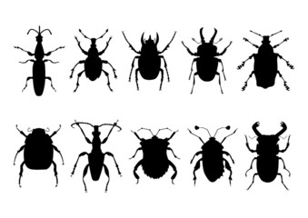 Hand-drawn silhouettes of various beetles, bugs and insects, vector isolated collection. Vector set with simple icons of beetles and bugs. - obrazy, fototapety, plakaty