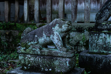 横須賀、諏訪大神社の狛犬