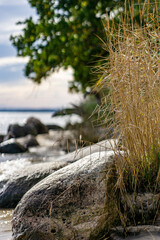 The coastline is covered with stones and vegetation.