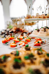 salmon appetizers served with white spoons,including smoke salmon rolls and cheese. buffet or catering.