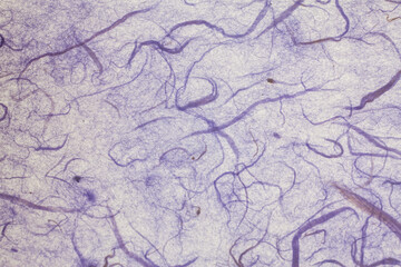 Blue mulberry paper.