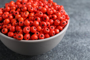 Fresh ripe rowan berries in bowl on grey table, closeup