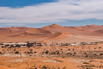Fototapeta na wymiar Sossusvlei dunes and car parking at the foot of it in cloudy day. Namib naukluft national park, Namib desert, Namibia.
