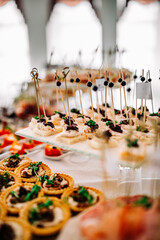 food buffer catering. Different canapes and appetizer on table