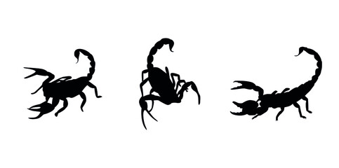 Scorpion, black silhouette, scorpion vector illustration, vector icons for logos. - obrazy, fototapety, plakaty