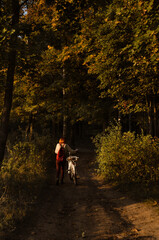 Fototapeta premium Unrecognisable woman is riding a bicycle down the road in an autumn forest during sunset.