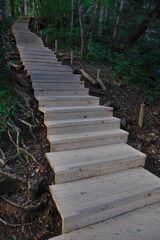 Fototapeta premium stairway to heaven