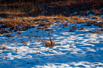 a sunny cold morning with autumn colors and first snow on the mountains, a still atmosphere
