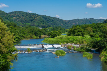 Obraz premium 【神奈川県】中津川 （才戸の渡し跡）