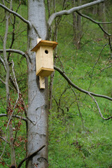 Birdhouse on a tree in the forest