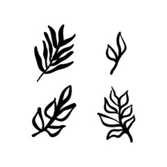 Little branches and floral doodles, hand drawn sketch drawings of plants, branches and leaves. Vector illustration.