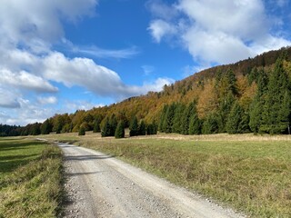 Fototapeta na wymiar Beautiful forest road in Gorski kotar, Croatia in autumn
