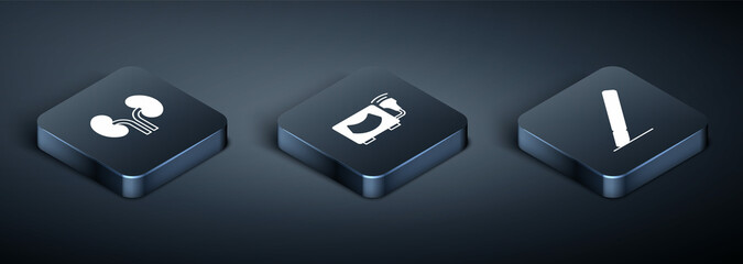 Set Isometric Human kidneys, Surgery scalpel and Ultrasound icon. Vector