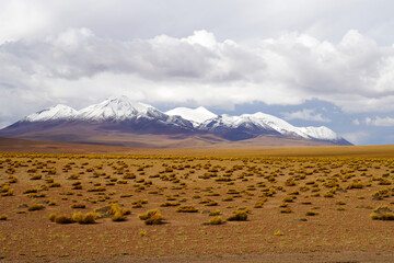 Desert view in Bolivia with snow capped volcano's in the background