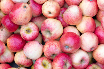 Large group of red organic apples