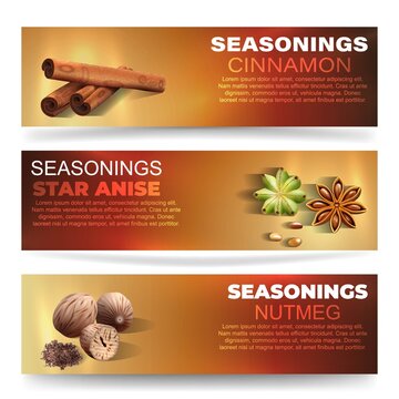 A set of banners with spices. Vector illustration of banners with a realistic image of cinnamon, star anise and nutmeg on a dark background with space for text.