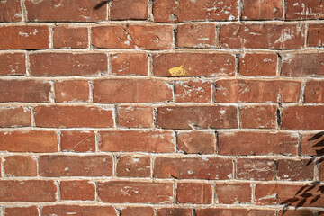 Fototapeta premium Old brick wall, old texture of red stone blocks closeup