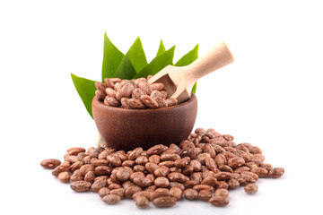 pinto beans isolated on white