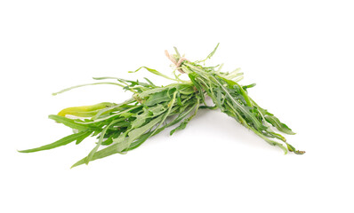 water spinach isolated on white background