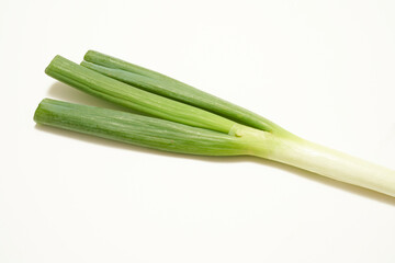 長葱　野菜