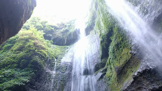 Beautiful Madakaripura waterfall in tropical rainforest in national park at East Java, Indonesia. Tilting shot