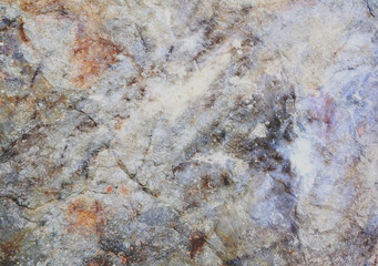 stylish blend of amazing images