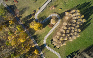 Bicycle path in the park. Ecosystem and healthy environment concepts and background.