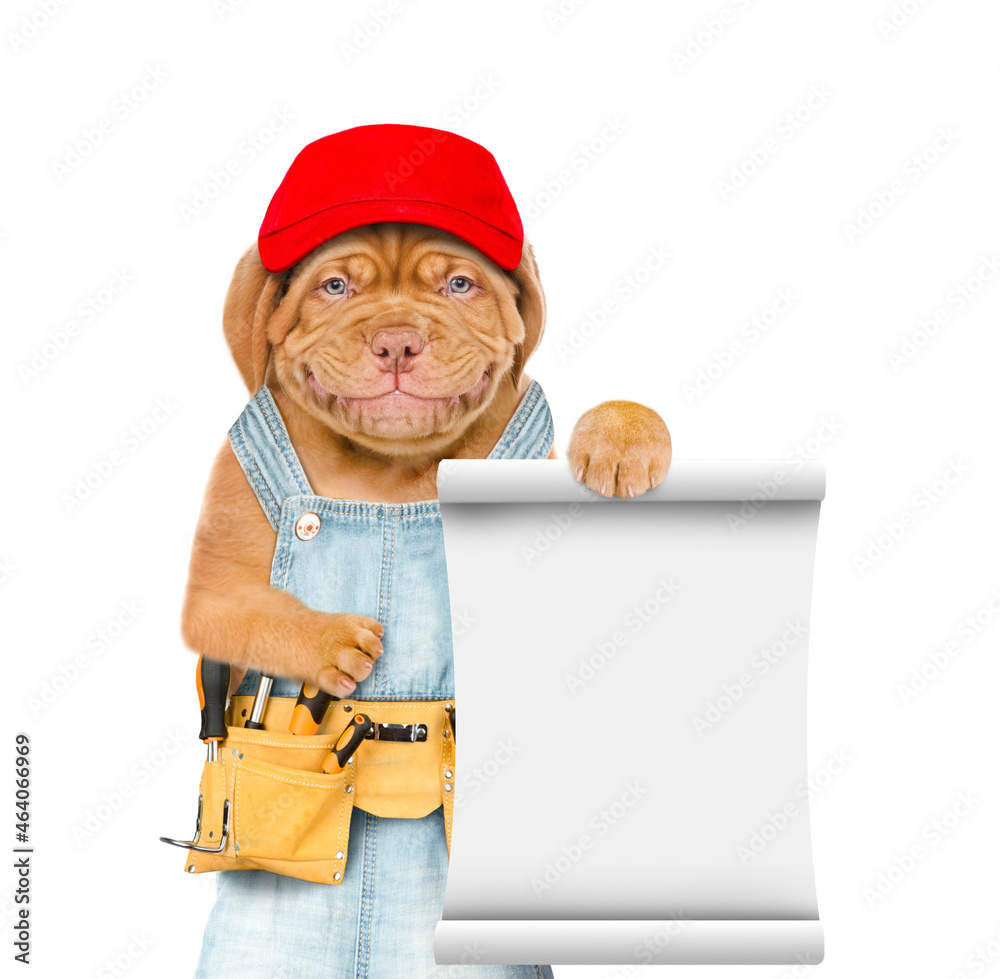 Poster Funny puppy wearing red cap and  overalls with tool belt shows empty list. Isolated on white background