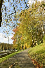 Fototapeta na wymiar Beauté de l'automne le long d'un des chemin du parc Parmentier le long de l'avenue de Tervuren à Woluwe-St-Pierre 