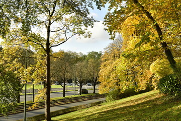 Beauté de l'automne le long d'un des chemin du parc Parmentier le long de l'avenue de Tervuren à Woluwe-St-Pierre 