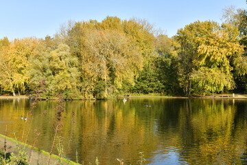 Les feuillages dorées se reflétant dans les eaux de l'étang du parc Malou à Woluwe-St-Lambert à l'est de Bruxelles